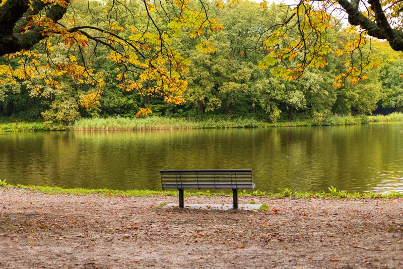As Summer Fades, an Autumn Budget Looms…
